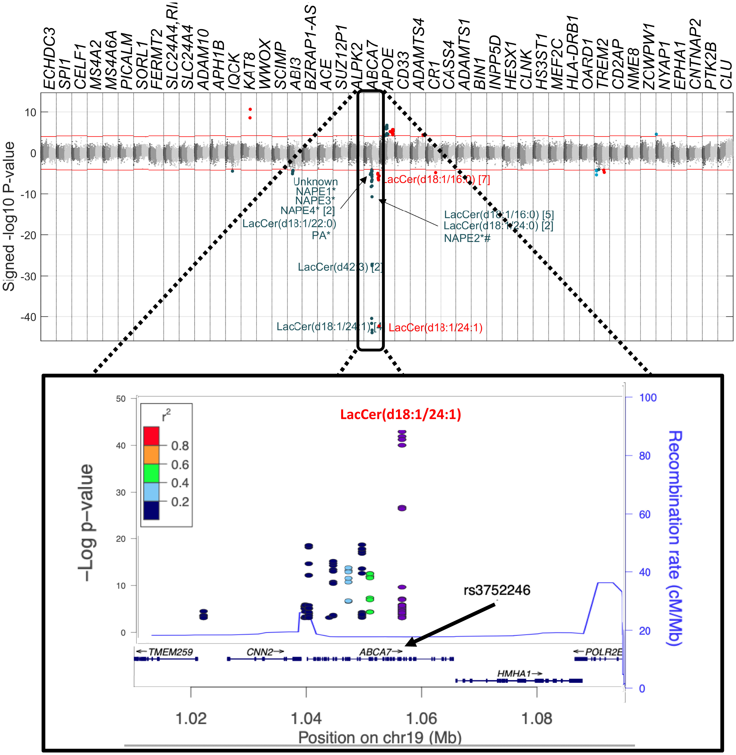 ABCA7_and_alzheimer.jpg