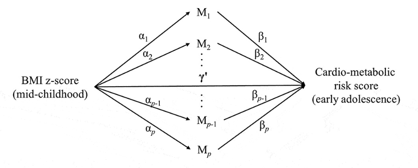 high_dimensional_mediation.png